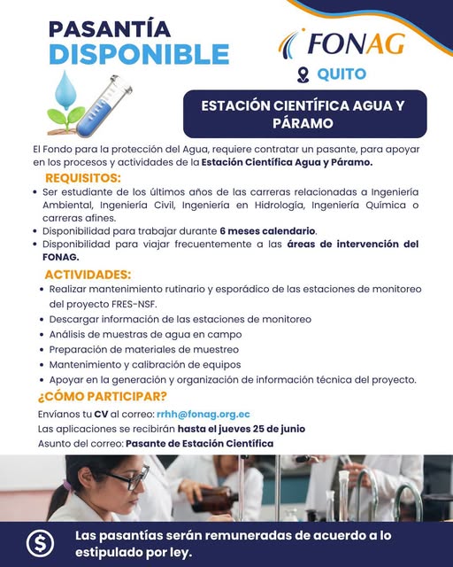 Foto del trabajo